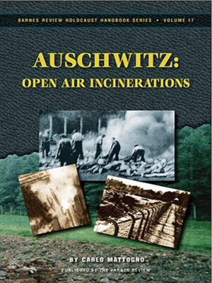 Auschwitz: Open Air Incinerations